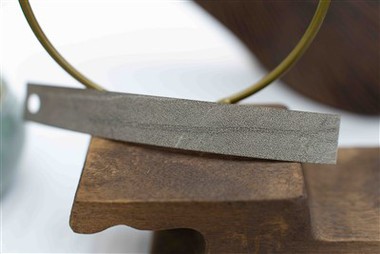 Banding del bordo scuro del Caspio